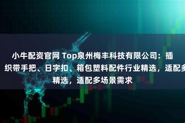 小牛配资官网 Top泉州梅丰科技有限公司：插扣、勾扣、织带手把、日字扣、箱包塑料配件行业精选，适配多场景需求