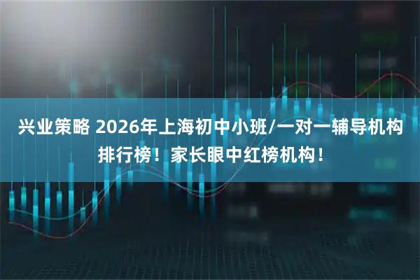 兴业策略 2026年上海初中小班/一对一辅导机构排行榜！家长眼中红榜机构！
