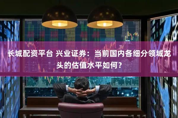 长城配资平台 兴业证券：当前国内各细分领域龙头的估值水平如何？